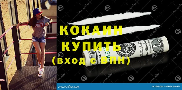 стаф Михайлов
