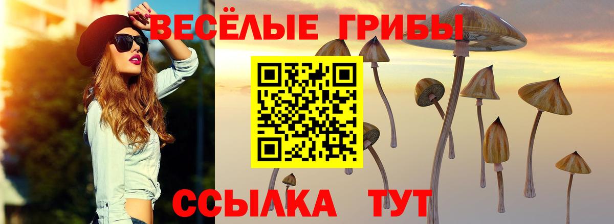 Галлюциногенные грибы мицелий  Псилоцибиновые грибы GOLDEN TEACHER  Белгород 