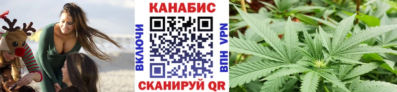 цена наркотик  Белгород  Конопля ГИДРОПОН 
